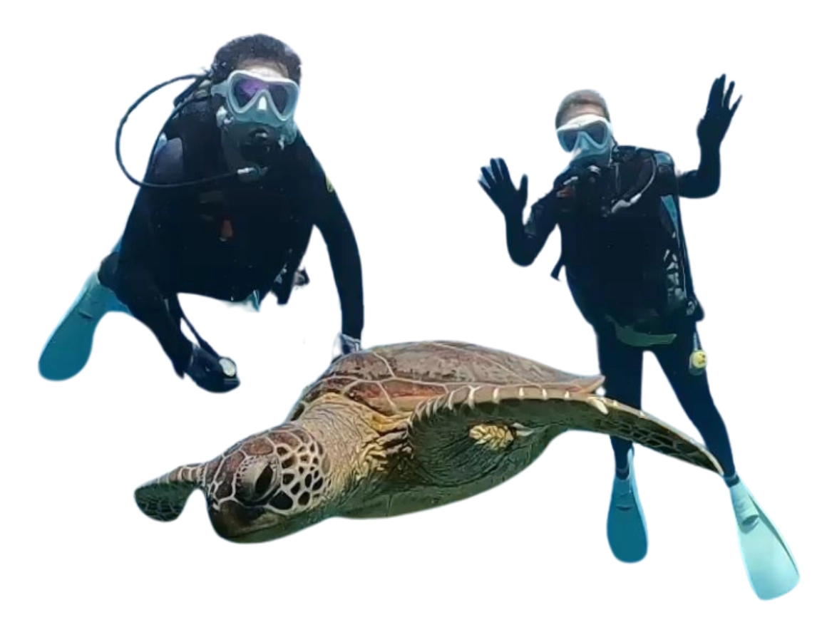 diving_hot_news